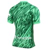Camisetas Atlético Madrid Segunda Portero 2024-25 - Hombre